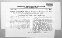 Image Associated With the Occurence